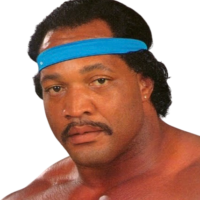 Ron Simmons