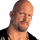 Stone Cold Steve Austin