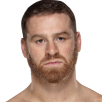 Sami Zayn