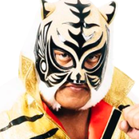 Tiger Mask (IV)