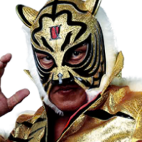 Tiger Mask (IV)