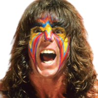 The Ultimate Warrior The Ultimate Warrior