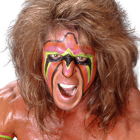 The Ultimate Warrior The Ultimate Warrior