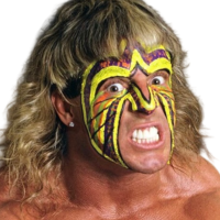 The Ultimate Warrior The Ultimate Warrior