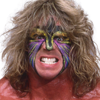 The Ultimate Warrior The Ultimate Warrior