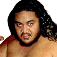 Great Kokina Great Kokina