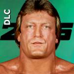 Mr. Wonderful Paul Orndorff